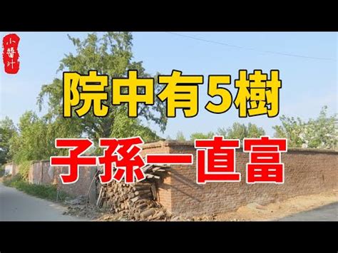 後院風水|住宅風水吉凶